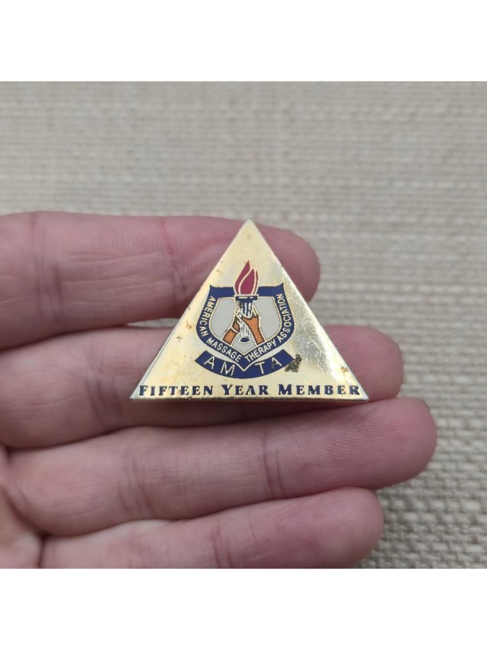 Vintage AMTA Fifteen Year Member Pin American Massage Therapy Association A8848